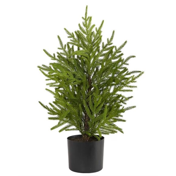 Artificial Plant Norfolk Island Pine Natural Looks Reel 2 Feet - Picture 2 of 5